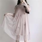 Lace Panel Flower Applique Long Sleeve Mesh Dress