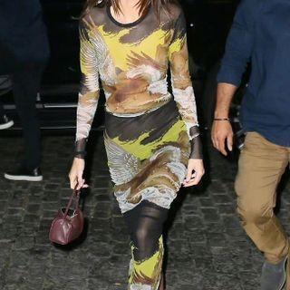 Long Sleeve Mesh Printed Sheath Midi Dress