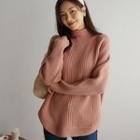 Turtle-neck Round-hem Sweater