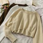Dip-back Loose-fit Cropped Sweater In 5 Colors