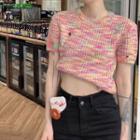 Short-sleeve Knit Crop Top Red & Yellow - One Size