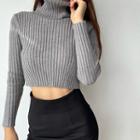High-neck Ribbed Cropped Knit Top
