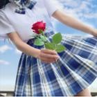 Plaid Pleated Mini A-line Skirt / Short-sleeve Shirt / Ribbon Bow Tie