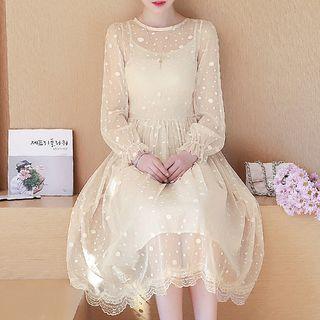 Mesh Long-sleeve A-line Dress / Lace Long-sleeve A-line Dress