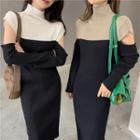 Long-sleeve Turtleneck Two-tone Slim-fit Knit Dress