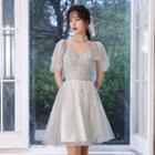 Sheer Panel A-line Party Dress