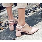 Chunky Heel Pointed T-bar Sandals