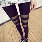 Mesh Insert Leggings