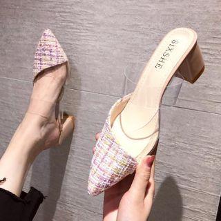 Pointy-toe Transparent Strap Chunky Heel Mules