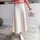 Plain Pleat A-line Maxi Skirt
