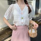 Check V-neck Short-sleeve Blouse