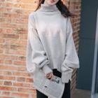 Turtleneck Plain Long-sleeve Sweater