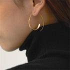 Hoop Earring 1 Pr - Gold - One Size