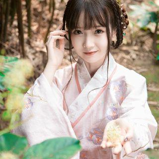 Floral Embroidered Long-sleeve Hanfu Top / Maxi A-line Skirt / Set