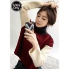 Turtle-neck Color-block Wool Blend Sweater