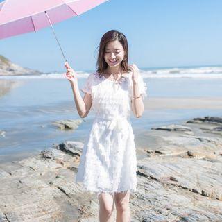 Short-sleeve Feather-accent Mini A-line Dress