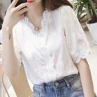 Elbow-sleeve Lace Blouse / Camisole