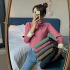 High-neck Long-sleeve Fleece-lined Knit Top