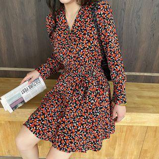 Long Sleeve V-neck Floral Print A-line Dress