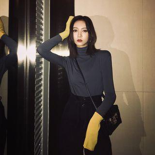 Turtleneck Color Panel Long-sleeve Top