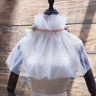 Wedding Mesh Capelet / Floral Hair Clip (1 Pair)