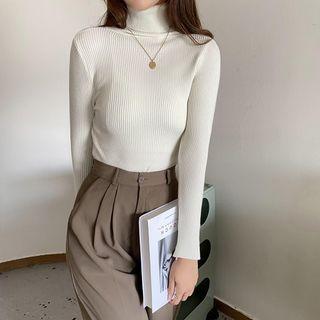 Turtleneck Plain Basic Knit Top