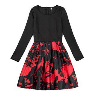 Long-sleeve Print Pleated Dress