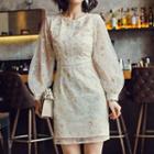 Sheer Embroidered Long-sleeve Dress
