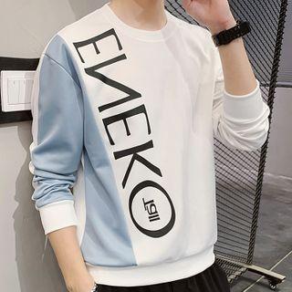 Lettering Color Panel Long-sleeve Sweatshirt