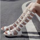 Lace-up Tall Gladiator Sandals