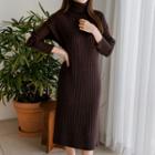 Turtle-neck Rib-knit Dress Brown - One Size