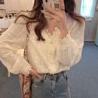 Long Sleeve Embroidered Lace Blouse