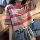 Short-sleeve Striped Cropped T-shirt / Camisole Top