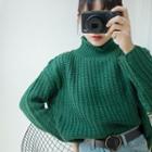Plain Turtle-neck Loose-fit Long-sleeve Sweater