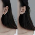 Non-matching Squirrel & Chestnut Stud Earring