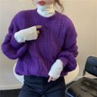 Cable Knit Sweater / Turtleneck Long-sleeve Top