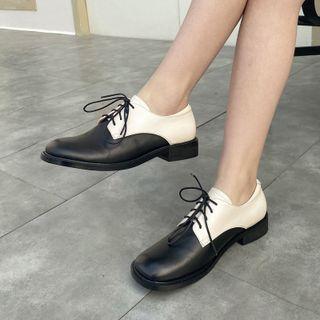 Two Tone Oxfords