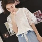 Short-sleeve Eyelet Lace Panel T-shirt
