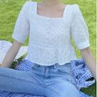 Embroidered Short-sleeve Square Neck Blouse White - One Size
