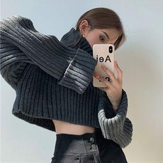Turtle-neck Plain Cropped Sweater Gray - One Size
