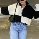 Long Sleeve Stand-collar Color-block Zip-detail Sweatshirt