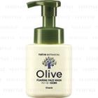 Kracie - Na Ve Botanical Olive Foaming Face Wash 160ml