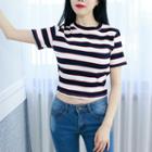Petite Size - Stripe Ribbed Cropped Top