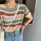 Short Sleeves Stripes Knit Top