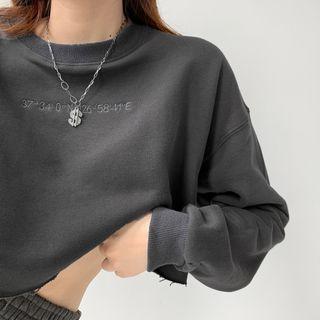 Coordinate-embroidered Washed Sweatshirt