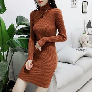 Turtleneck Rib Knit Mini Dress
