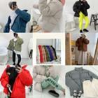 High-neck Drawcord-hem Padded Jacket In 11 Colors