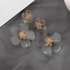 Transparent Acrylic Flower Earring As Shown In Figure - One Size