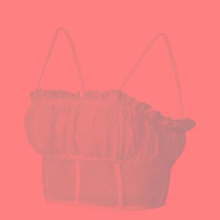 Mesh Cropped Camisole