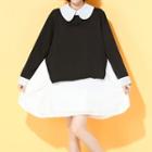 Color Panel Collared Long Sleeve Dress